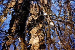 Winter Water Colors